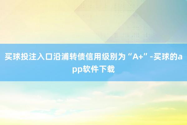 买球投注入口沿浦转债信用级别为“A+”-买球的app软件下载