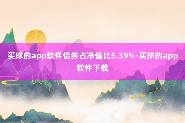 买球的app软件债券占净值比5.39%-买球的app软件下载