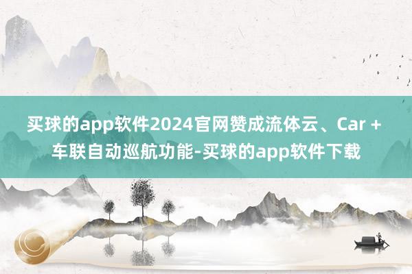 买球的app软件2024官网赞成流体云、Car + 车联自动巡航功能-买球的app软件下载