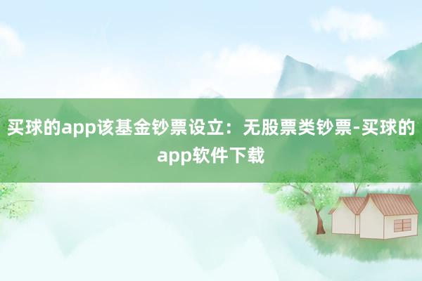 买球的app该基金钞票设立：无股票类钞票-买球的app软件下载