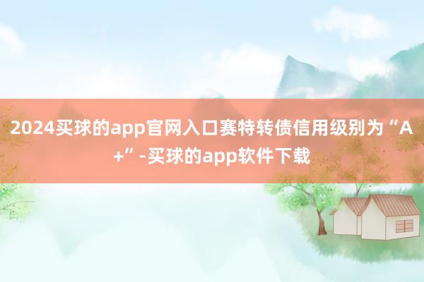 2024买球的app官网入口赛特转债信用级别为“A+”-买球的app软件下载