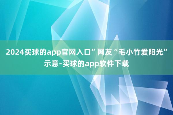 2024买球的app官网入口”网友“毛小竹爱阳光”示意-买球的app软件下载