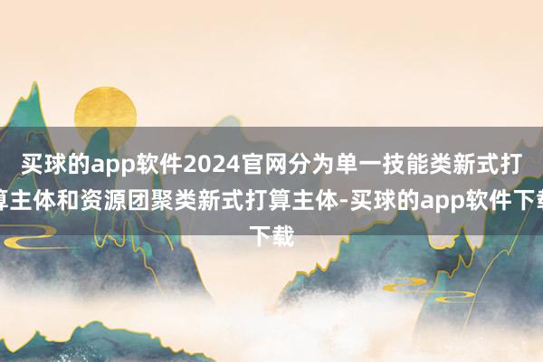 买球的app软件2024官网分为单一技能类新式打算主体和资源团聚类新式打算主体-买球的app软件下载