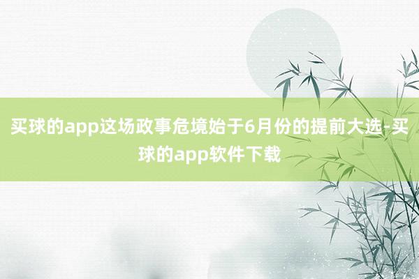 买球的app这场政事危境始于6月份的提前大选-买球的app软件下载