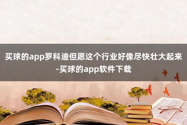 买球的app罗科迪但愿这个行业好像尽快壮大起来-买球的app软件下载