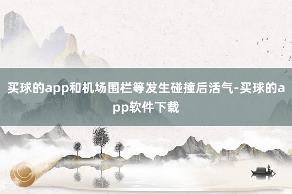 买球的app和机场围栏等发生碰撞后活气-买球的app软件下载