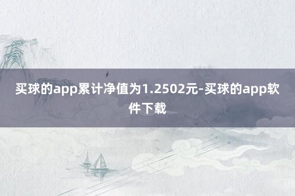 买球的app累计净值为1.2502元-买球的app软件下载